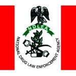 Senator Osita Ngwu and NDLEA Crack Down on Drug Abuse and Illicit Drug Market in 9th Mile and Surrounding Areas